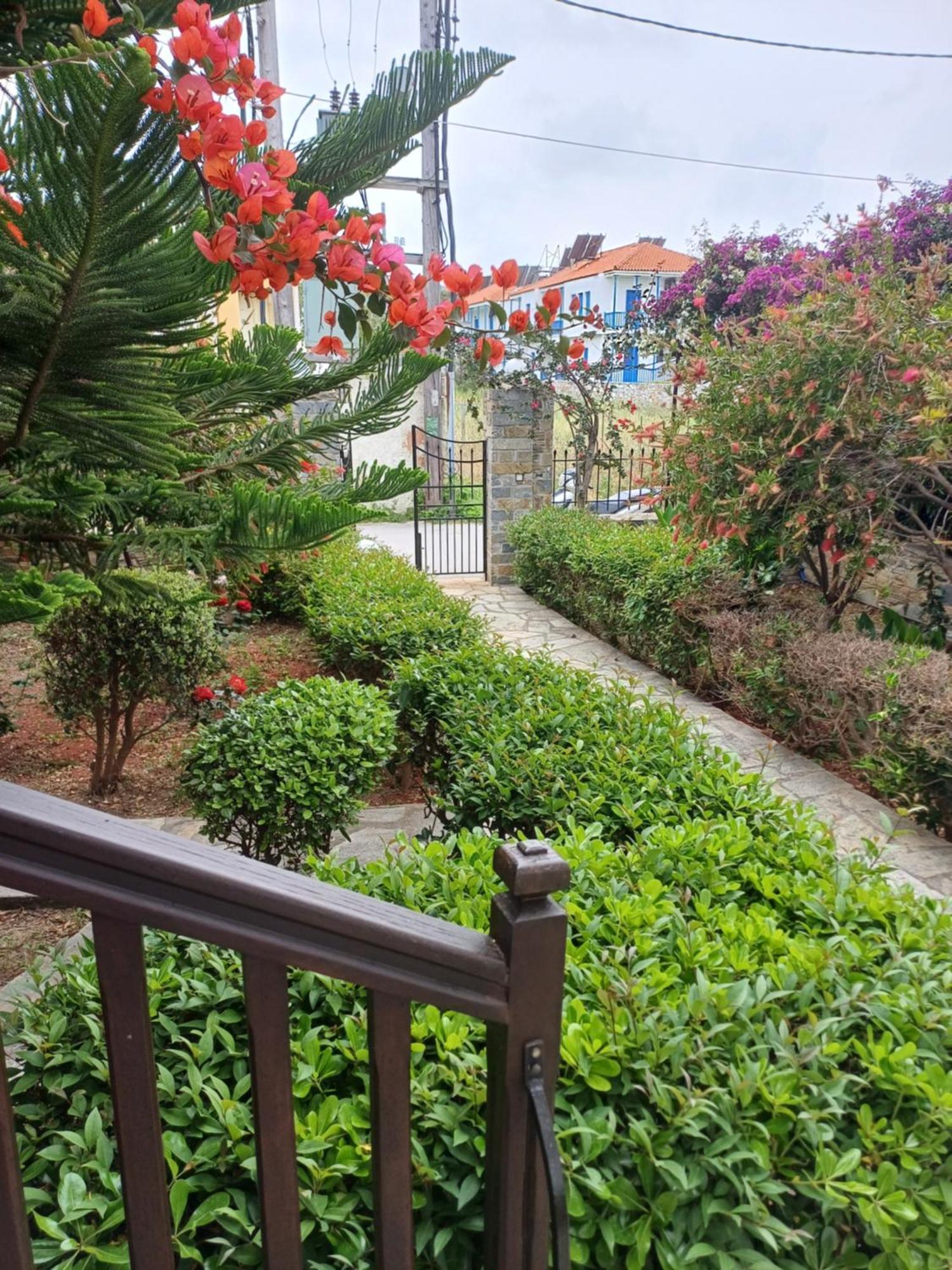 Nikolaos * Skopelos